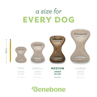 Foto 4 | Foto 4 | Juguete Masticable Para Perros Benebone Dental Duradero Para Masticadores Agresivos - Venta Internacional.