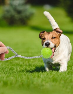 Foto 3 | Foto 3 | Cuerda con Pelota Pet Religion para Mascota