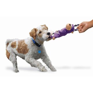 Foto 4 | Foto 4 | Juguete Para Perros Huoguo Tugger Knots Frog Pequeño/mediano Para Perros - Venta Internacional.