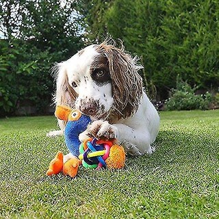 Foto 3 | Foto 3 | Juguete Para Perros, Resistente Y Multitextura, Con Forma De Flamenco, Para Masticar Y Tirar - Venta Internacional.