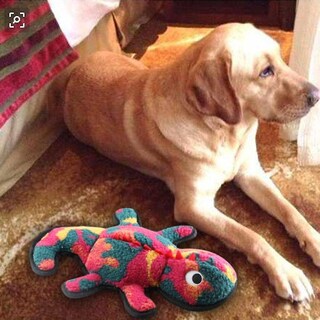 Foto 5 | Foto 5 | Juguete Para Perros Huoguo, Duradero, De Felpa Y Camuflaje Con Forma De Dinosaurio - Venta Internacional.