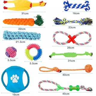 Foto 2 | Foto 2 | Juego de Juguetes para Mascota Eo Safe Imports Esi-8845 Multicolor 12 Piezas