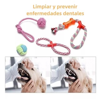 Foto 4 | Foto 4 | Juego de Juguetes para Mascota Eo Safe Imports Esi-8845 Multicolor 12 Piezas