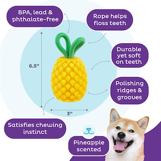 Foto 3 | Foto 3 | Juguete Masticable Outward Hound Dental Pineapple Para Perro, Color Amarillo - Venta Internacional.