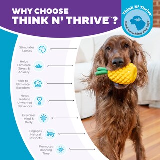 Foto 6 | Foto 6 | Juguete Masticable Outward Hound Dental Pineapple Para Perro, Color Amarillo - Venta Internacional.
