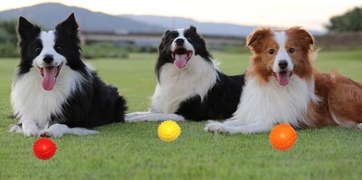 Foto 3 | Foto 3 | Juguete De Goma Para Masticar Bolas Chirriantes Para Perros Huoguo Para Cachorros - Venta Internacional.