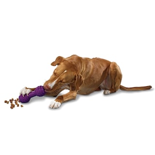 Foto 1 | Foto 1 | Dispensador De Golosinas Petsafe Busy Buddy Chuckle Sound Toy Para Perros - Venta Internacional.