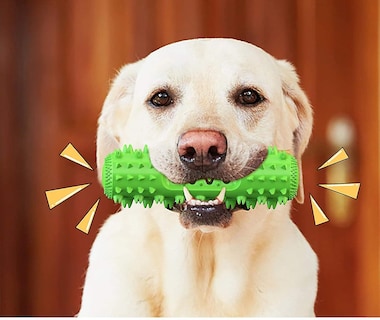 Foto 3 | Foto 3 | Juguetes Masticables Para Perros, Para Masticadores Agresivos, Cepillos De Dientes Y Chirriantes - Venta Internacional.
