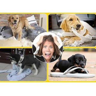 Foto 3 | Foto 3 | Mancuerna De Juguete Para Perros, Jaulas Para Pájaros, Baños Para Pájaros, Limpieza De Dientes - Venta Internacional.