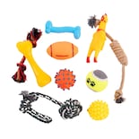 Juguetes para Perro 10 Piezas