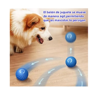 Foto 2 | Foto 2 | Juguete Interactivo para Mascotas Azul