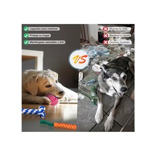 Foto 2 | Foto 2 | Juguetes Para Perro Lab.g De 10 Piezas - Juguete Para Masticar Colores
