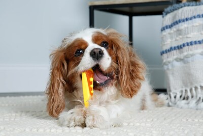 Foto 4 | Foto 4 | Dog Chew & Treat Para Perros Hartz Chew 'n Clean Dental Duo, Paquete De 3 - Venta Internacional.