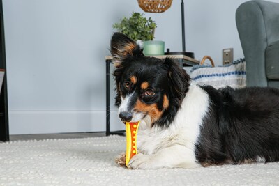 Foto 6 | Foto 6 | Dog Chew & Treat Para Perros Hartz Chew 'n Clean Dental Duo, Paquete De 3 - Venta Internacional.