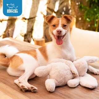 Foto 5 | Foto 5 | Juguete Para Perros Best Pet Supplies Interactive Bunny Buddy - Venta Internacional.