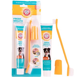 Foto 1 | Foto 1 | Kit De Cuidado Dental Para Perros Arm & Hammer Fresh Breath Enzymatic - Venta Internacional.