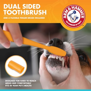 Foto 3 | Foto 3 | Kit De Cuidado Dental Para Perros Arm & Hammer Fresh Breath Enzymatic - Venta Internacional.