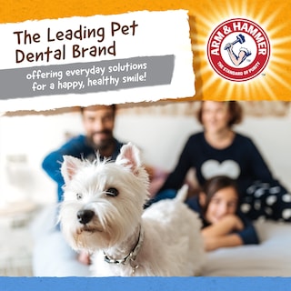 Foto 5 | Foto 5 | Juguete Dental Para Perros Arm & Hammer Nubbies Tribone Peanut Butter - Venta Internacional.
