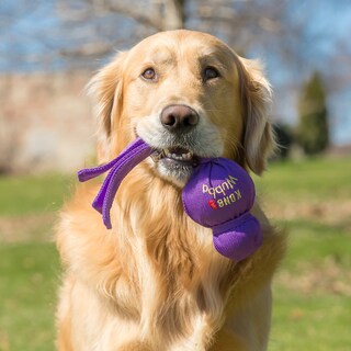 Foto 2 | Foto 2 | Juguete Para Perros Kong Wubba Para Tira Y Afloja Para Perros Xl - Venta Internacional.