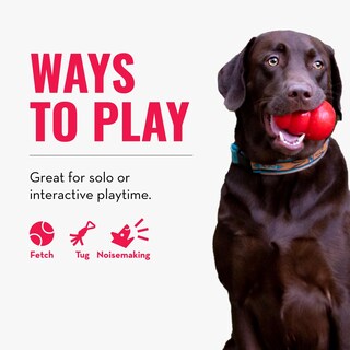 Foto 5 | Foto 5 | Juguete Para Perros Kong Wubba Para Tira Y Afloja Para Perros Xl - Venta Internacional.