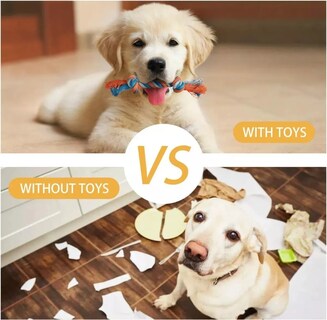 Foto 5 | Foto 5 | 7 Piezas Juguetes De Cuerda Para Perro Belug Colores