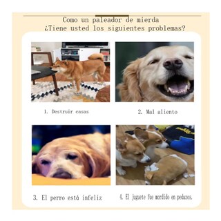 Foto 2 | Foto 2 | Juguetes De Cuerda Para Perro Morder Paquete De 7 Piezas Lab.g, Multicolor