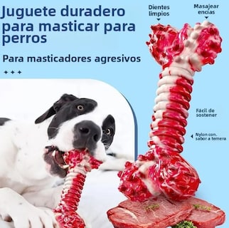 Foto 2 | Foto 2 | Xtellar - Set De 5 Juguetes Resistentes Talla Xl Para Caninos De Masticación Fuerte