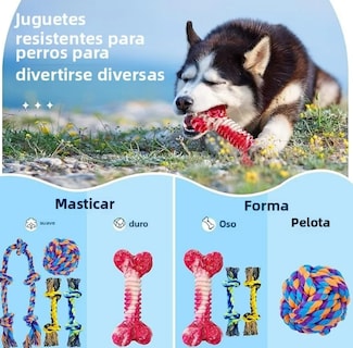 Foto 3 | Foto 3 | Xtellar - Set De 5 Juguetes Resistentes Talla Xl Para Caninos De Masticación Fuerte