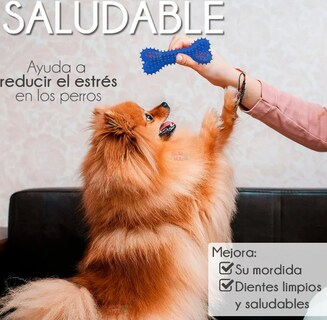 Foto 2 | Foto 2 | Xtellar Hueso De Juguete Texturizado Para Perros: Diversión Saludable Que Fortalece Y Limpia