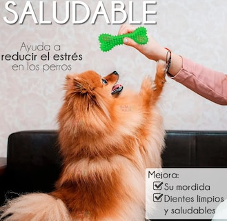 Foto 4 | Foto 4 | Xtellar Hueso De Juguete Texturizado Para Perros: Diversión Saludable Que Fortalece Y Limpia