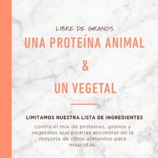 Foto 6 | Foto 6 | Instinct Lid Alimento Para Perros Con Alergias, Croquetas Recubiertas De Carne De Salmón, 9kg