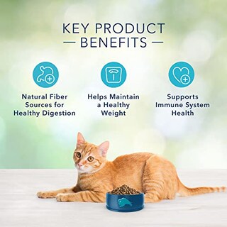 Foto 5 | Foto 5 | Comida Para Gatos Blue Buffalo Freedom, Pollo Sin Cereales, 5 Kg - Venta Internacional.