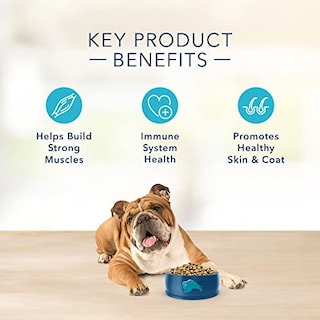 Foto 6 | Foto 6 | Comida Para Perros Blue Buffalo Basics Para El Cuidado De La Piel Y El Estómago, Pavo, 24 Libras - Venta Internacional.