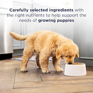 Foto 3 | Foto 3 | Alimento Para Perros Natural Balance, Dieta Con Ingredientes Limitados, Salmón - Venta Internacional.