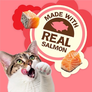Foto 3 | Foto 3 | Gums Naturales Purina Friskies Para Gatos Con Salmón, 600 Ml - Venta Internacional.