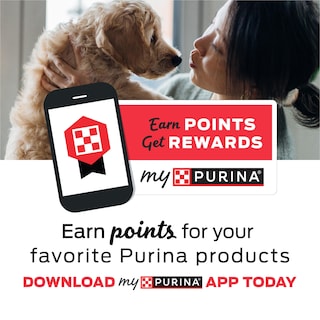 Foto 5 | Foto 5 | Gums Naturales Purina Friskies Para Gatos Con Salmón, 600 Ml - Venta Internacional.