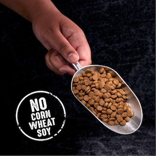 Foto 7 | Foto 7 | Alimento Para Perros Crave Sin Cereales Con Alto Contenido De Proteínas Y Cordero 13,6 Kg - Venta Internacional.