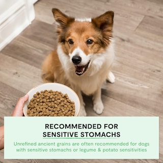 Foto 4 | Foto 4 | Alimento Seco Para Perros Open Farm Ancient Grains, 10 Kg De Carne De Venado Neozelandesa - Venta Internacional.