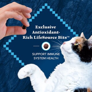 Foto 7 | Foto 7 | Alimento Seco Blue Buffalo Wilderness Rico En Proteínas Para Gatos Adultos - Venta Internacional.