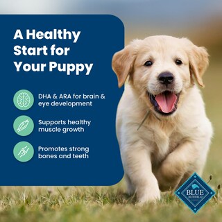 Foto 4 | Foto 4 | Alimento Para Perros Blue Buffalo Life Protection Puppy Lamb 2,27 Kg - Venta Internacional.