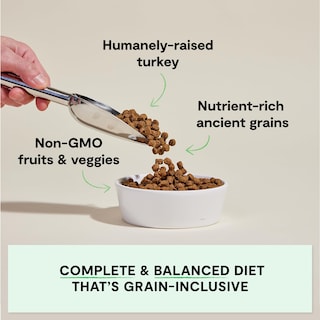 Foto 2 | Foto 2 | Alimento Seco Para Perros Open Farm Ancient Grains Homestead Turkey, 1,8 Kg - Venta Internacional.