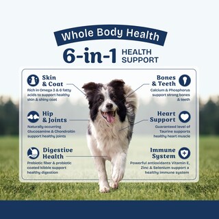 Foto 4 | Foto 4 | Alimento Seco para Perros Natural Balance Health Protection Lamb 11 Kg - Venta Internacional