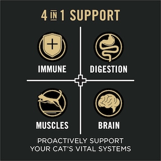 Foto 3 | Foto 3 | Alimento Para Gatos Purina Pro Plan Vital Systems Con Pollo Y Huevo, 1,36 Kg - Venta Internacional.