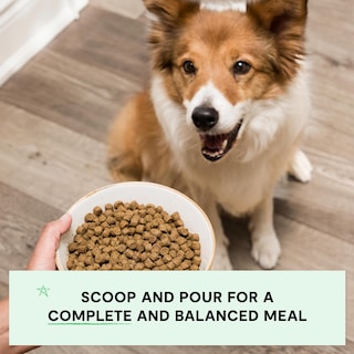 Foto 4 | Foto 4 | Comida Seca Para Perros Open Farm, Receta Completa Y Equilibrada De Cordero De 1,8 Kg - Venta Internacional.