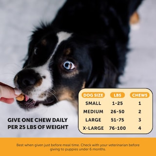 Foto 5 | Foto 5 | Suplemento Pet Honesty Para Aliviar La Picazón De La Alergia Para Perros, 90 Masticables - Venta Internacional.