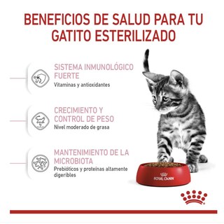 Foto 2 | Foto 2 | Royal Canin Kitten Spayed 1.14 Kg Original Sellado