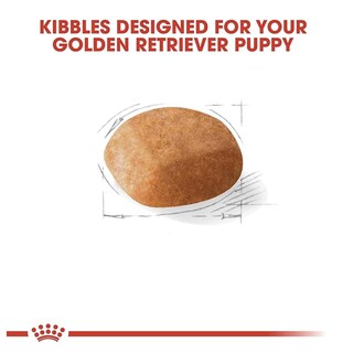 Foto 2 | Foto 2 | Royal Canin Bhn Golden Retriever Puppy 13.6 Kg Original