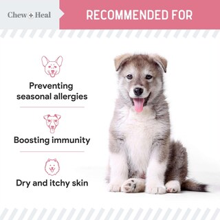 Foto 4 | Foto 4 | Alergy Chews Chew + Heal Labs Para Perros Y Gatos 90 Golosinas - Venta Internacional.