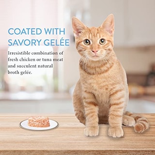 Foto 4 | Foto 4 | Comida Para Gatos Inaba Twins, Pollo Desmenuzado Y Caldo, Gelée, 580 Ml - Venta Internacional.