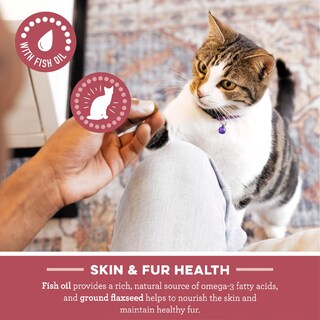 Foto 5 | Foto 5 | Cat Treats Greenies Smartbites Skin & Fur Health, Salmón, 480 Ml - Venta Internacional.